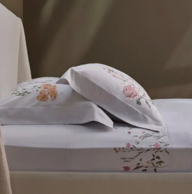 Jogo de Cama Queen Buddemeyer Luxus Crayon, 100% Algodão Estampado