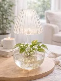 Vaso Hidropônico em Vidro