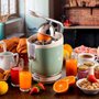 Espremedor de Frutas Ariete Vintage Verde 220V 85W