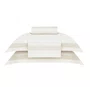 Jogo de Cama Queen Pierre Buddemeyer Luxus 600 fios Bege c/ Renda Bege