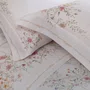 Kit Colchas Queen  Buddemeyer Vision Giovanella