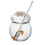 Meleira com Pegador Sun Garden 270ml Vidro Borossilicato - Wolff