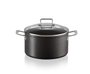 Stock Pot 24Cm TNS