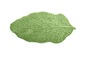 Tabua de Queijo Couve Verde Cristina