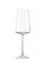 Jogo de 6 Taças para Champagne Inc 360 ml